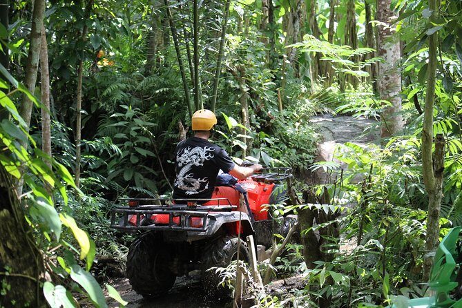 1.5 Hours Bali ATV Quad Tour - Rice fields and off-road treks: the part that feels like Bali’s “real day”
