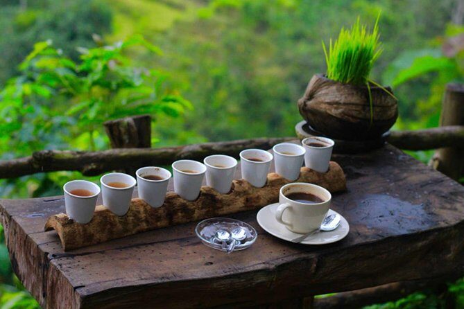 2 Days Best of Bali Famous Tour Packages - Tanah Lot after sunset: temple views and an included dinner nearby