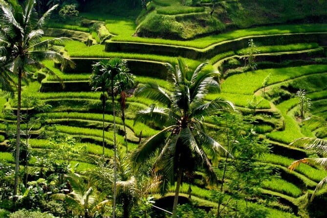 2 Days Mount Batur Sunrise Trekking With Private Ubud Day Tour - Guide and Driver Quality: Why Names Like Gede, Agus, and Wayan Matter