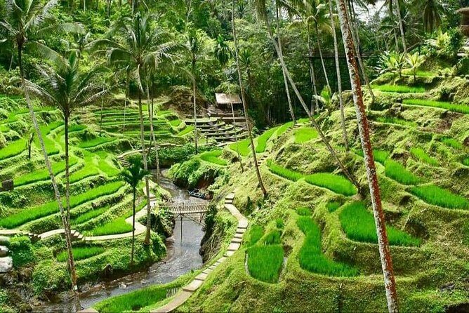 6 Days Best Of Bali And Nusa Penida All Inclusive Private Tour - Why this 6-day Bali and Nusa Penida combo actually makes sense