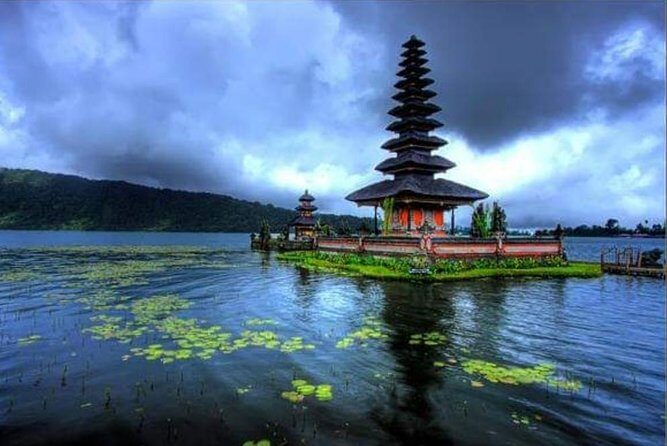 6 Days Best Of Bali And Nusa Penida All Inclusive Private Tour - Day 3: Ubud’s nature and sacred stops, from Monkey Forest to Tirta Empul
