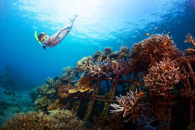 All-Inclusive Bali Snorkeling at Blue Lagoon Beach & ATV Ride - Snorkeling Gear, Life Jackets, and Safety Without the Drama