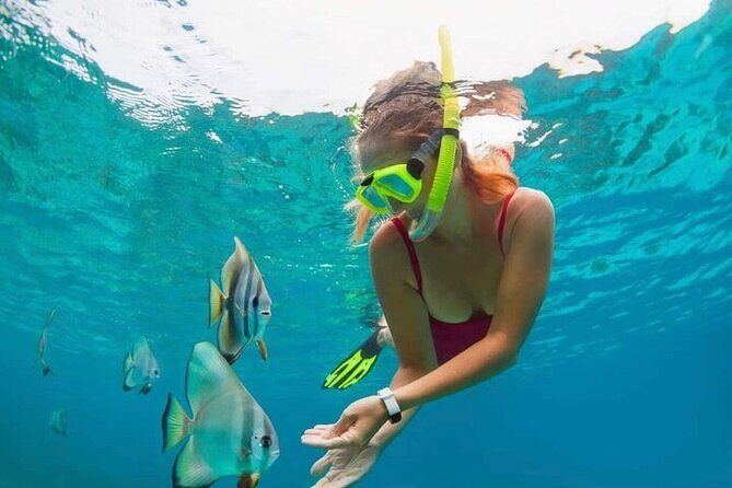All Inclusive Blue Lagoon Snorkeling with Bali ATV Quad Adventure - Blue Lagoon snorkeling: clear water, coral, fish, and turtle odds