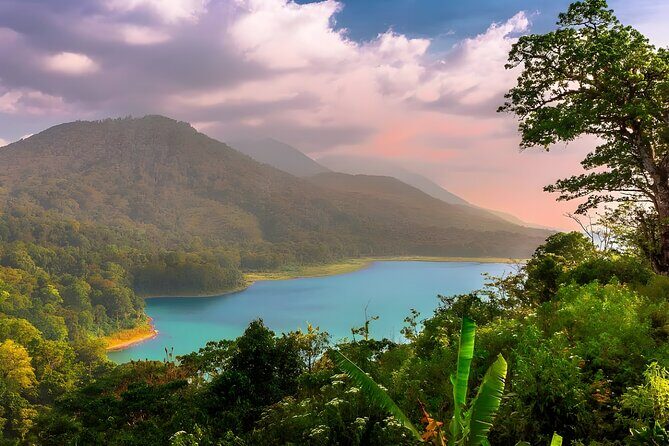 Amazing Bali Dolphin Watching Trip Experience - Why the ecosystem talk is more than a script