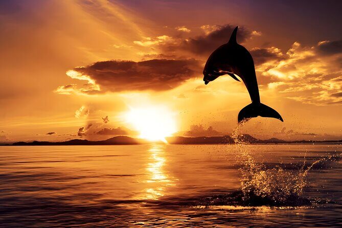 Amazing Bali Dolphin Watching Trip Experience - Lovina dolphin watching: sunrise on a traditional jukung
