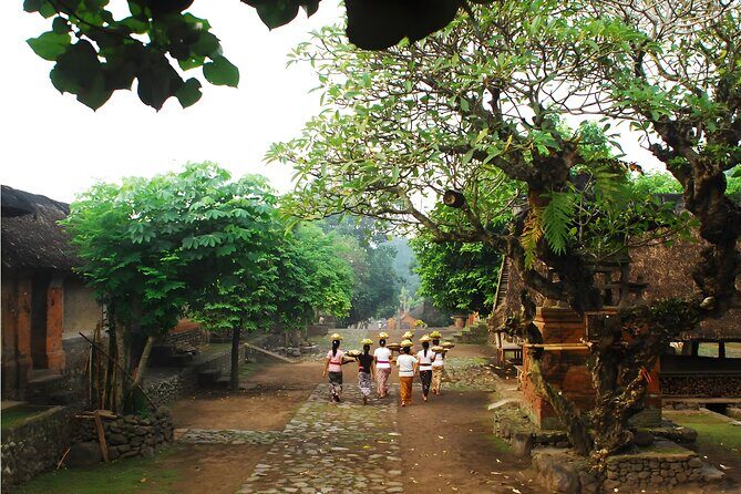 Amazing Private East Bali Full-Day Tour - Tenganan Ancient Village: Bali Aga life in a planned layout