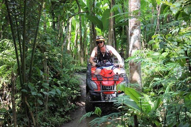 ATV Tour with Monkey Forest Experience in Bali - Price and value at about $79.68 per person