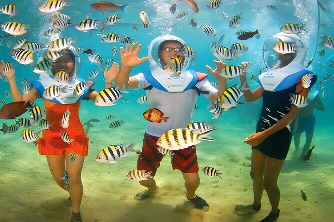 Bali Activity: Bali Sea Walking in Nusa Dua Ocean - Price and value: what $85 buys (and what it doesn’t)