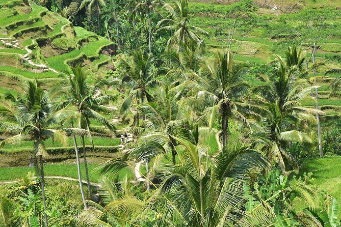 Bali Airport Arrival Transfer and Private Car Charter Combo - How to plan your stops (without turning your day into homework)