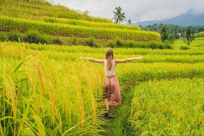 Bali Airport from or to Seminyak/Canggu/Sanur/NusaDua/Uluwatu - Value at $25: When a Private Transfer Makes Sense