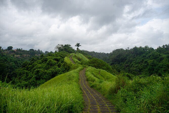 Bali Airport Pickup Transfer to Ubud Area (Private) - The Drive to Ubud: 1.5 to 2 Hours of Real-Time Bali