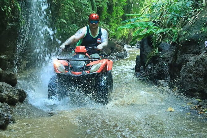 Bali ATV Quad Bike Ubud Swing & Monkey Forest All Inclusive - Monkey Forest Sanctuary: close encounters with long-tailed monkeys