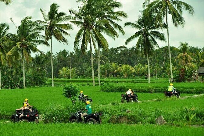 Bali ATV Ride tour Ubud - Pickup, timing, and getting there without stress