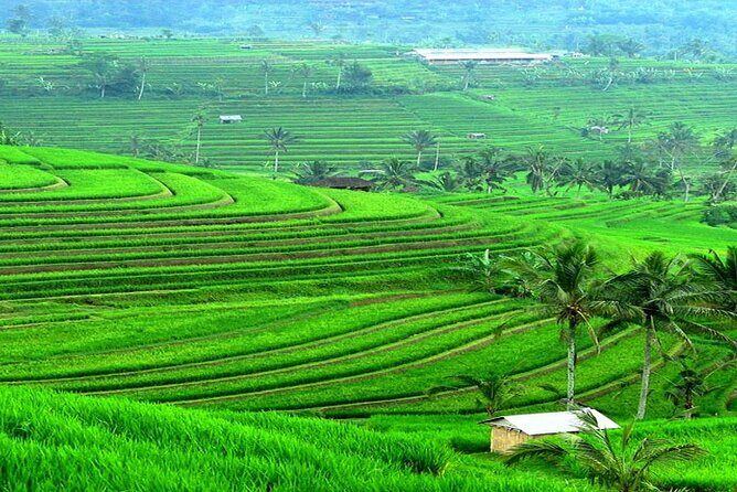 Bali: Bedugul Lake Temple, Banyumala Waterfall, UNESCO Rice Field - What I’d Pack and How I’d Time This Day