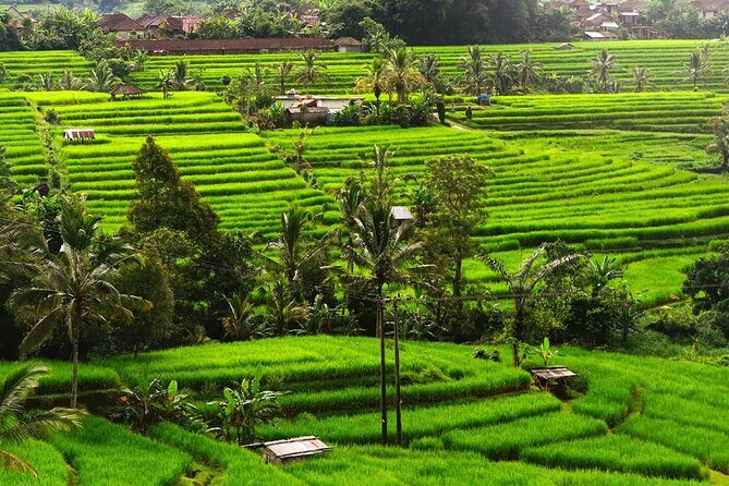 Bali: Bedugul Lake Temple, Banyumala Waterfall, UNESCO Rice Field - Ulun Danu Beratan Temple: A Lakeside Photo Stop With Real Atmosphere