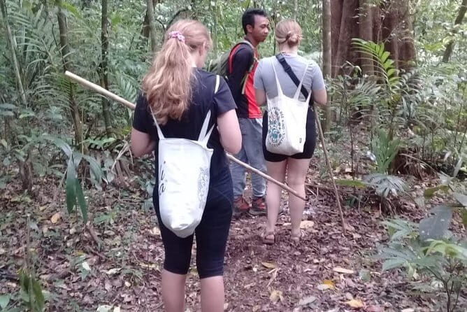Bali Blue Lagoon Snorkeling and Waterfall Day Tour with Lunch - Lunch on the road: Indonesian flavors, not a missed meal