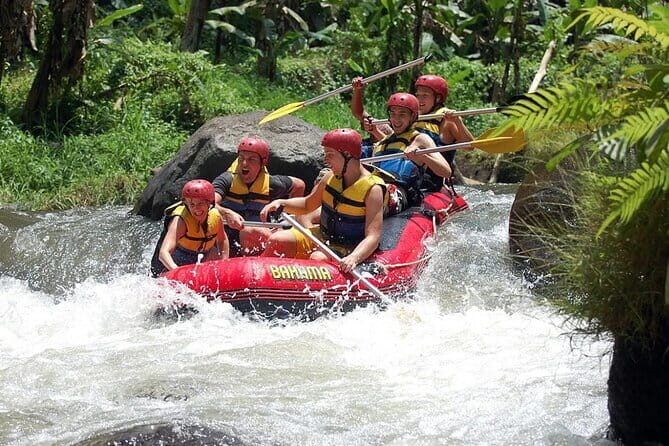Bali Blue Lagoon Snorkeling and Waterfall Day Tour with Lunch - Price check: why $41 can be good value here