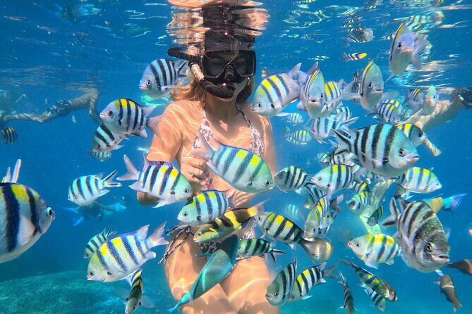 Bali Blue Lagoon Snorkeling - Lunch and Transport All Inclusive - Why Blue Lagoon and Lempuyang Temple fit together