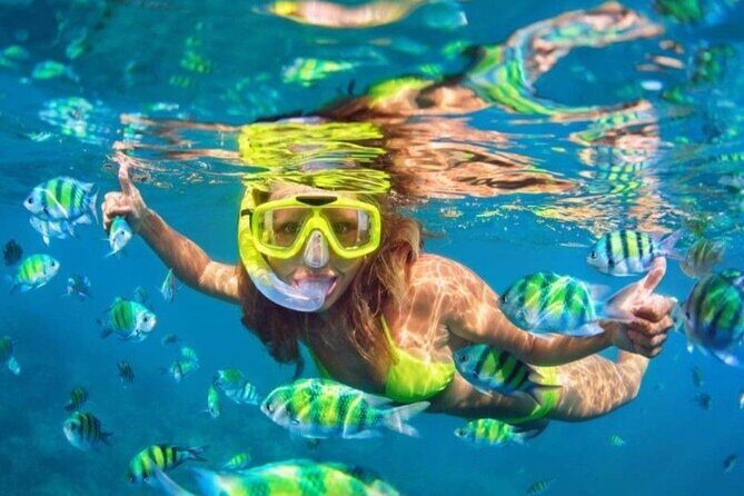 Bali Blue Lagoon Snorkeling - Lunch and Transport All Inclusive - Seminyak to east Bali: what private pickup really changes