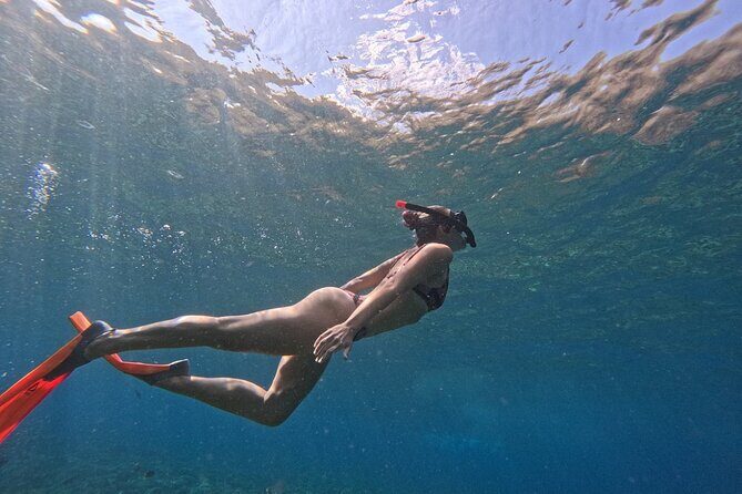 Bali Blue Lagoon Snorkeling - Lunch and Transport All Inclusive - The coffee plantation stop: what you learn and taste