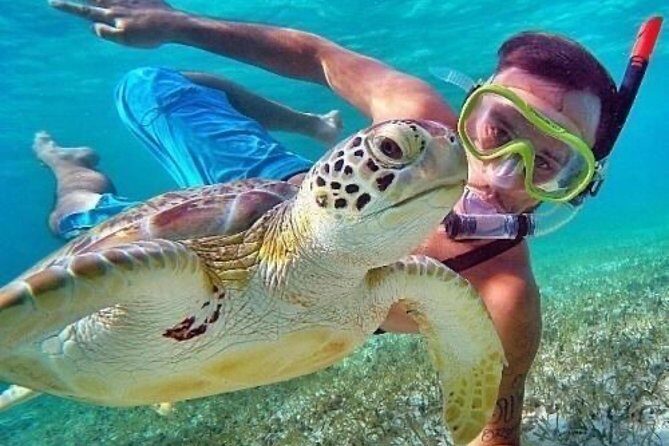 Bali Blue Lagoon Snorkeling - Lunch and Transport All Inclusive - Price and value: is $39 actually a good deal?
