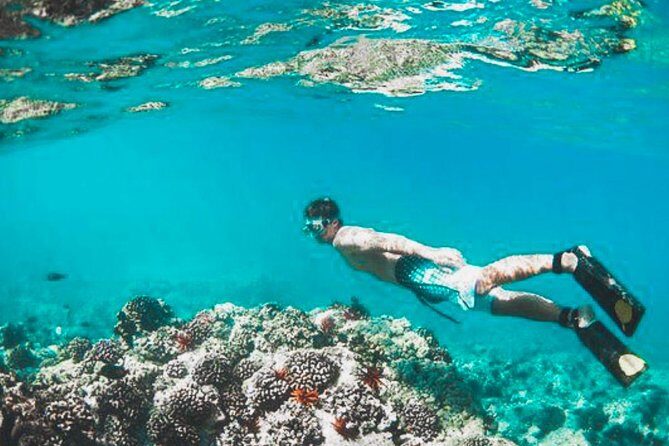 Bali Blue Lagoon Snorkeling - Lunch and Transport All Inclusive - Who should book this tour (and who might skip it)