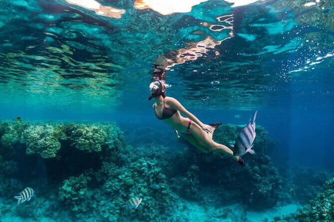 Bali Blue Lagoon Snorkeling Tour All Inclusive - Padang Bai: the boat ride base and what to expect on the water