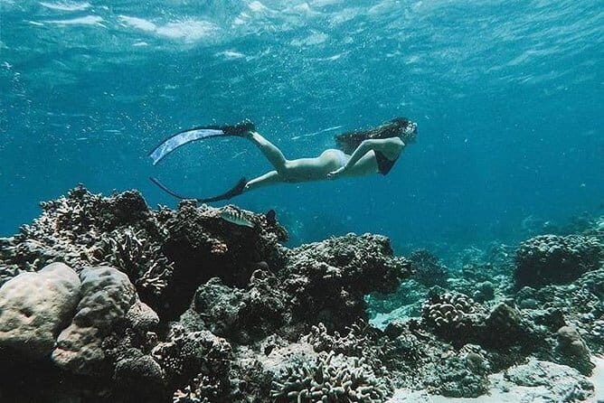 Bali Blue Lagoon Snorkeling Tour All Inclusive - Marine life spotting: what the guide actually helps with