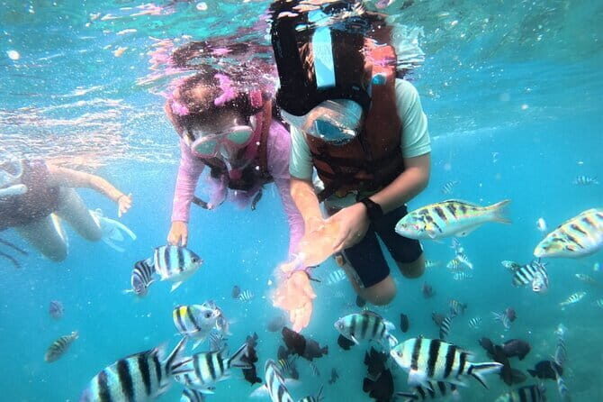 Bali Blue Lagoon Snorkeling Tour All Inclusive - Lunch at the right time: fuel that doesn’t ruin your mood