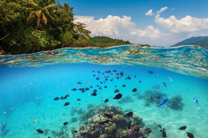 Bali Blue Lagoon Snorkeling Tour All Inclusive - Pickup and timing: why it saves your energy