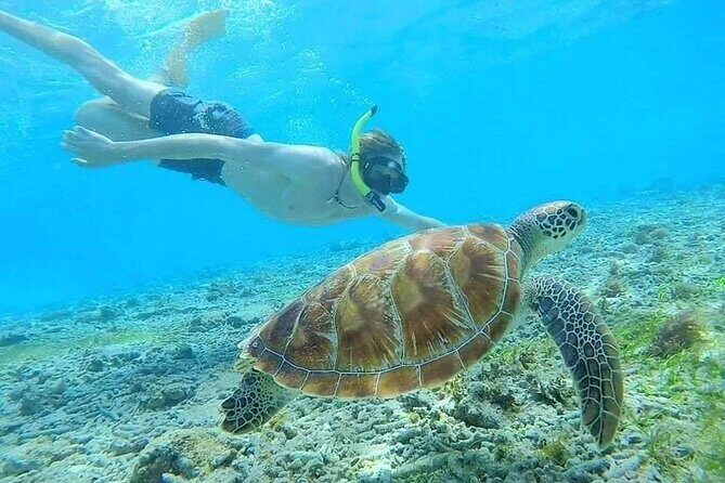 Bali Blue Lagoon Snorkeling with Private Transfer & Lunch - Lunch at Topi Inn Restaurant: real food, but know what’s on the menu