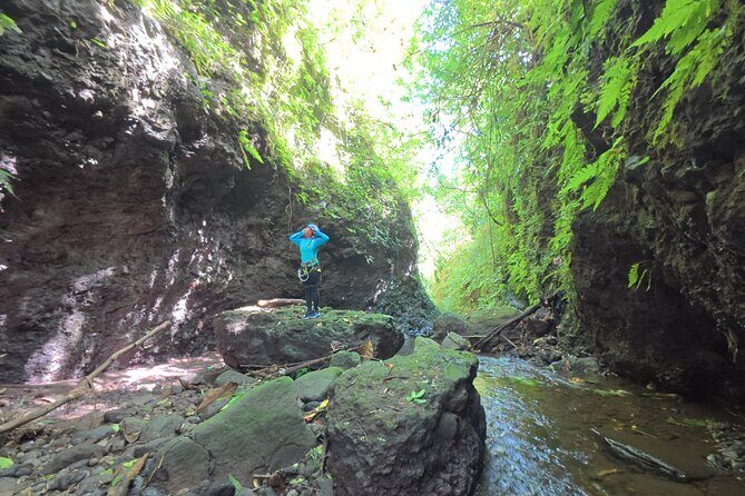 Bali Canyoning Trip – Explore Hidden Waterfalls & Gorges - Hot Spring Reset at Gitgit: Tea, Coffee, Snacks, and Soaking Time