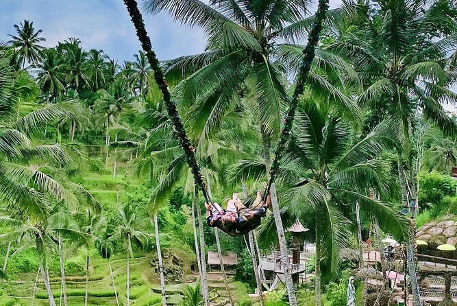 Bali Culture and Choose Your Bali Tour Route in Bali with Bali driver-Free WIFI - Pickup, A/C comfort, and how to deal with Bali traffic