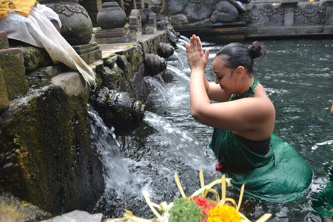Bali Culture And Spring Temple Private Guided Tour - How the private door-to-door setup works from Seminyak