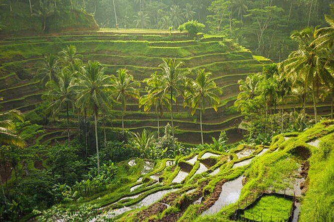 Bali Customized Private Tour - A Seminyak Private Day That You Actually Control