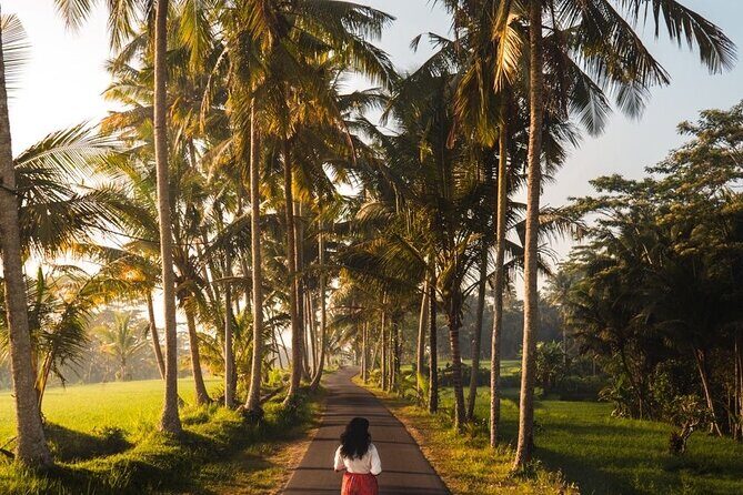 Bali Customized Tour Private Car and Driver - Taman Ayun, Beratan Temple, and the Beratan-area tradeoff