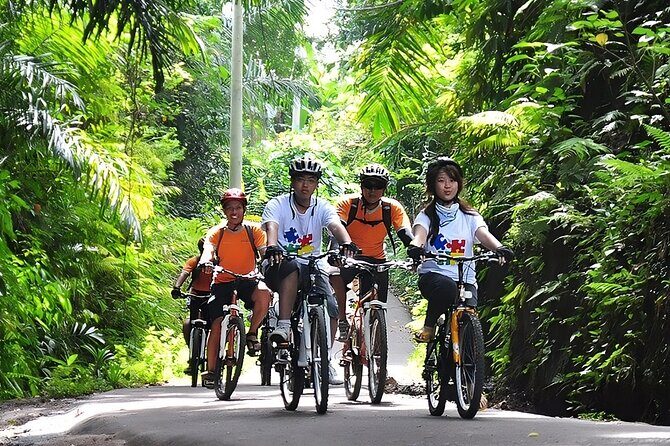 Bali Cycling and Ubud Waterfall Tour - Pickup, vehicle comfort, and what “private” actually changes