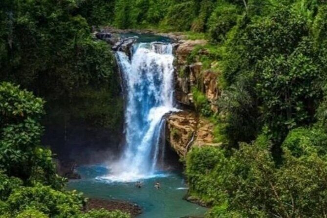 Bali Day Trip to Ubud Highlight Tour and Tanah Lot Temple - Stop 2: Sacred Monkey Forest Sanctuary and What to Expect