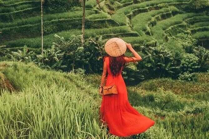 Bali Day Trip to Ubud Highlight Tour and Tanah Lot Temple - Lunch, Entrance Fees, and What the $85 Price Covers