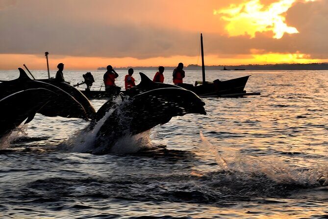Bali Dolphin Watching Sunrise Tour in Lovina Beach - Price and value: is $80 per person worth it?