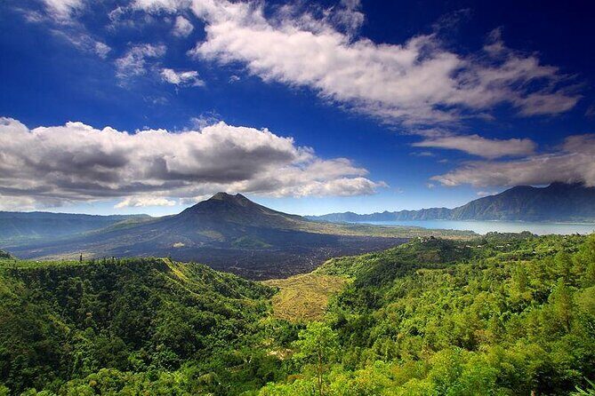 Bali Full-Day Car Charter: Ubud and Kintamani Volcano Trip - Key things that make this day trip worth your time