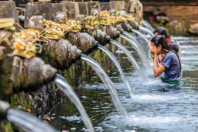 Bali Full-Day Car Charter: Ubud and Kintamani Volcano Trip - Tegalalang Rice Terrace: Subak irrigation you can actually see