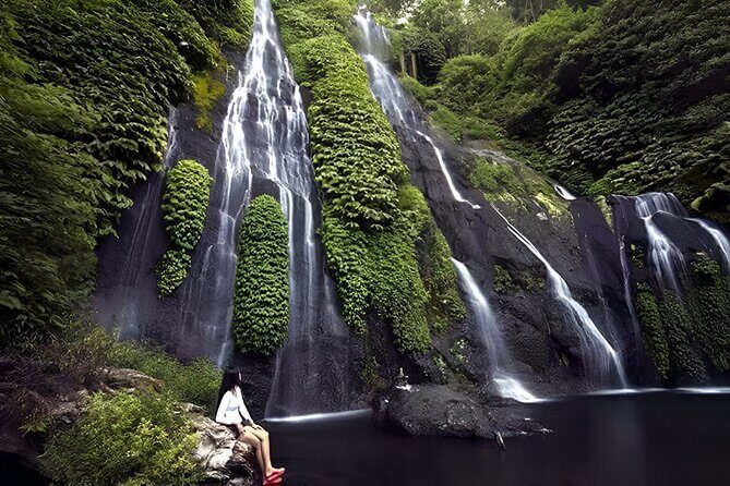Bali Full-Day Hidden Hills, Twin Waterfalls and Hot Spring Tour - Key Highlights You’ll Feel From the Start