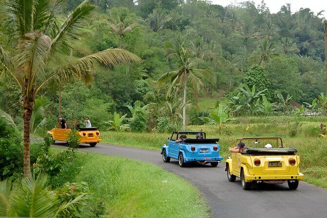 Bali Full-Day The Gate of Heaven Tour by VW Safari Classic Car - Lunch and included costs: where the value really shows