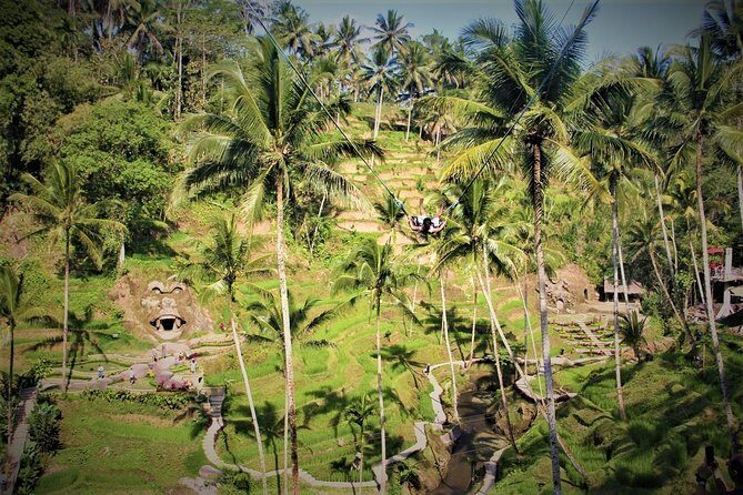 Bali Full Day Tour | Individual Route in Bali | Bali Guide | Free Wi-Fi - Monkey Forest Sanctuary: a jungle walk with attitude (and monkeys)