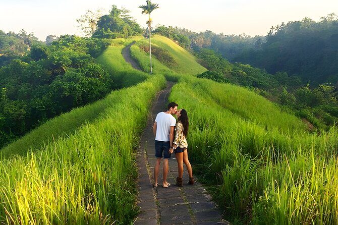 Bali Full Day-Tour: Ubud Sightseeing Trip - Tegalalang Rice Terrace: a scenic stop with an 8th-century connection