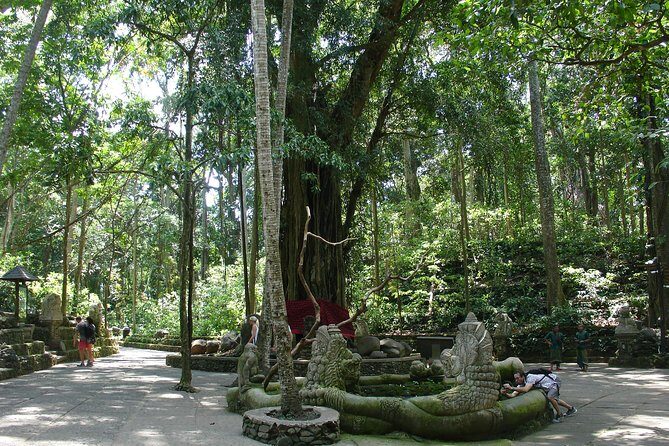 Bali Full-Day Traditional Village Sightseeing Trip All Inclusive - Ubud Rice Terraces at Tegalalang: The Scenic Stop With Options