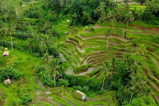 Bali Horse Riding Activity and Full-Day Trip in Ubud - The Saba Bay horse ride: the star of the day