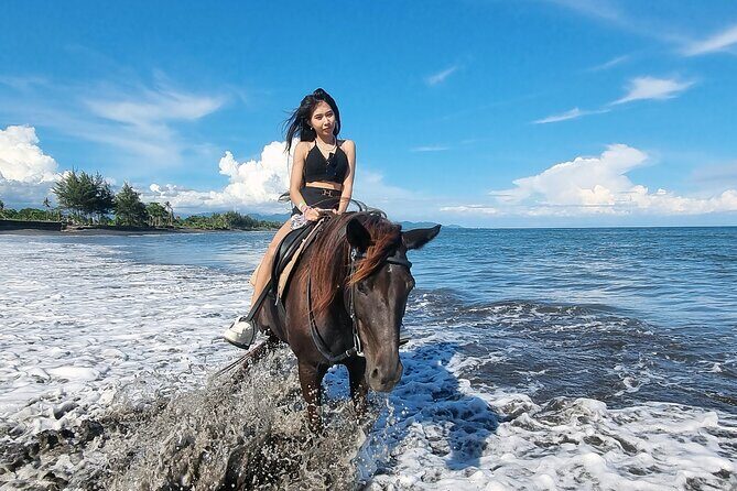 Bali Horse Riding and Turtle Release at Saba Beach - Value and pricing: when $64 makes sense