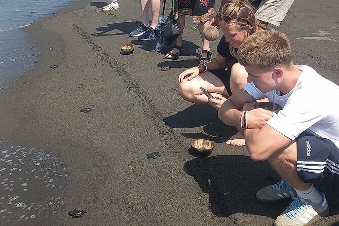 Bali Horse Riding and Turtle Release at Saba Beach - Should you book Bali Horse Riding and Turtle Release at Saba Beach?
